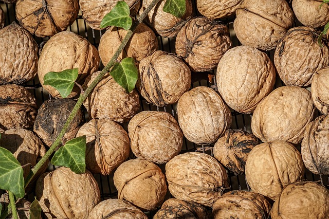 Walnuts
