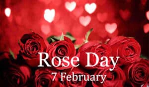Rose Day