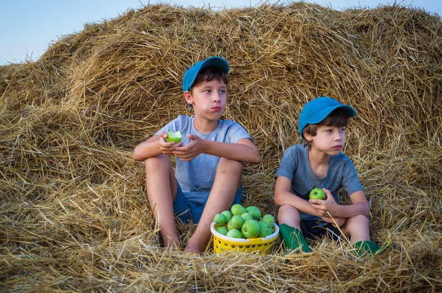 Fresh fruits ready for a healthy diet