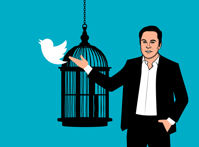 Twitter: Should Indians Invest In Twitter Shares Now, After The Elon Musk Acquisition