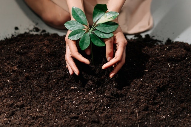 Know Why Saving Soil Is Need Of The Hour!