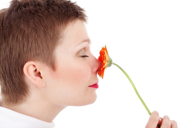 Use All Five Senses Daily