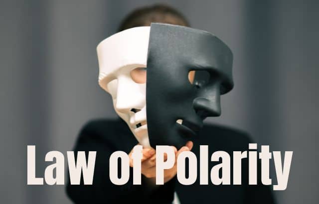The LAW OF POLARITY: How it works for Business and life