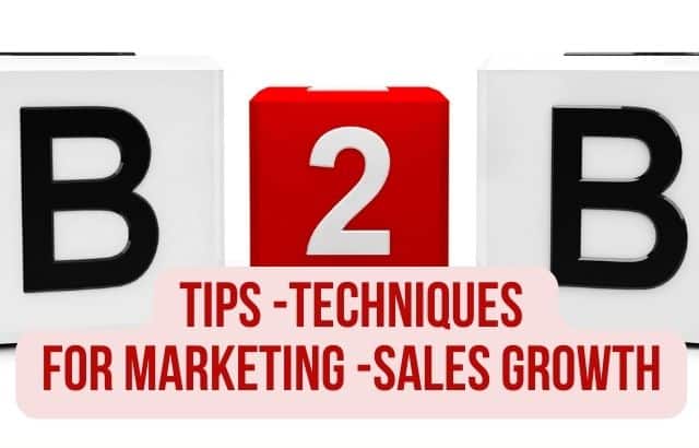 B2B: Tips and Techniques for Marketing and Sales Growth