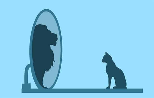 Working on Strengths Leads to Greater Success -The Importance of Identifying Your Strengths. Working on Strengths Leads to Greater Success -The Importance of Identifying Your Strengths.