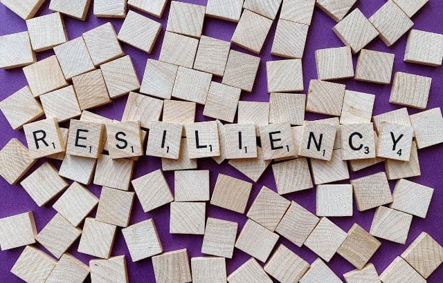 Resilience for Entrepreneurs