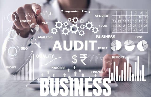 Business Audit & Plan