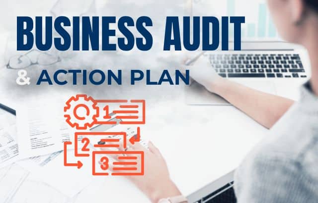 Business Audit & Action Plan for 2024-prepare your business for long term sustainability