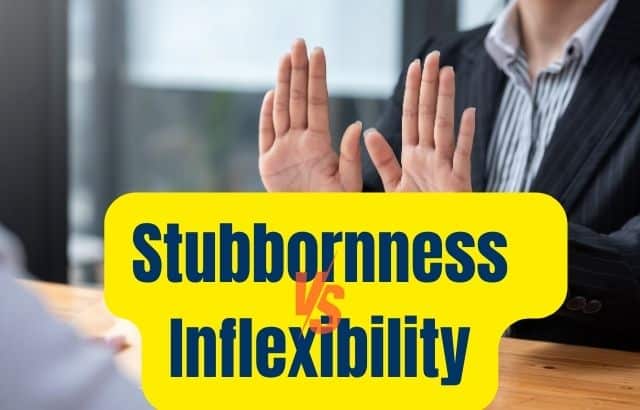 Stubbornness vs. Inflexibility-Where the Line Blurs for Businesses