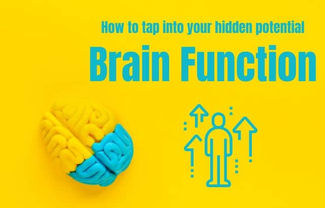 Brain Function- How to tap into your hidden potential