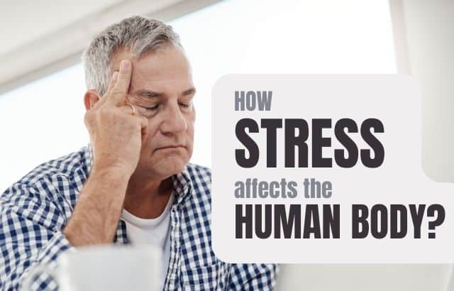How stress affects the human body?