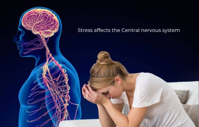 Stress affects the Central nervous system
