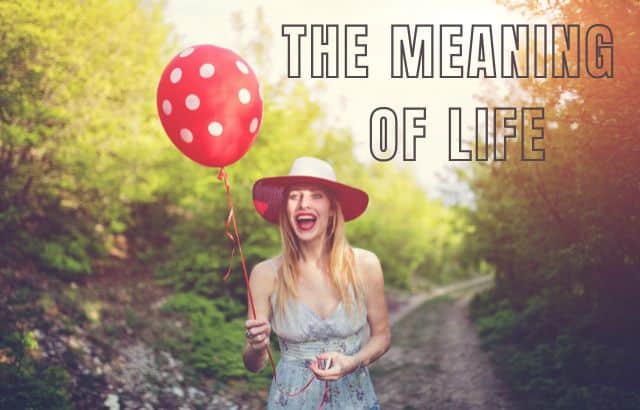 The Meaning of Life Through Achieving Balance