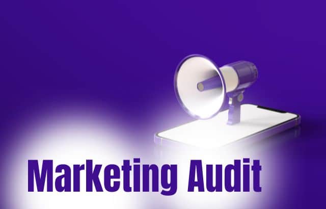 Marketing Audit:  What is Marketing Audit? How to Conduct it