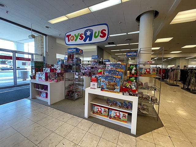 Lessons from Toys“R”Us: What Every Business Must Learn