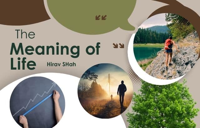 The Meaning of Life: A Strategic and Philosophical Perspective