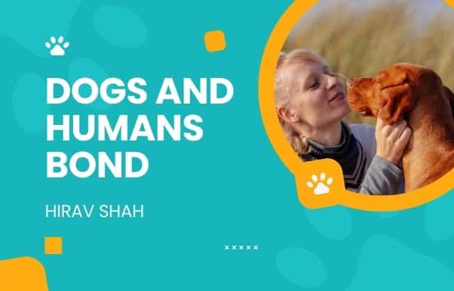 Why Dogs Share the Strongest Bond with Humans