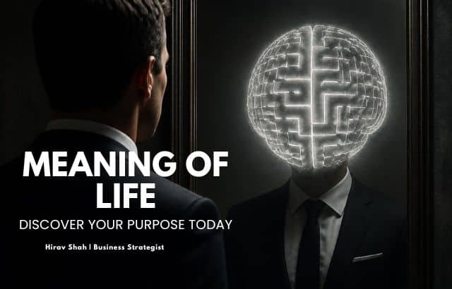 The Meaning of Life: A Strategic and Philosophical Perspective